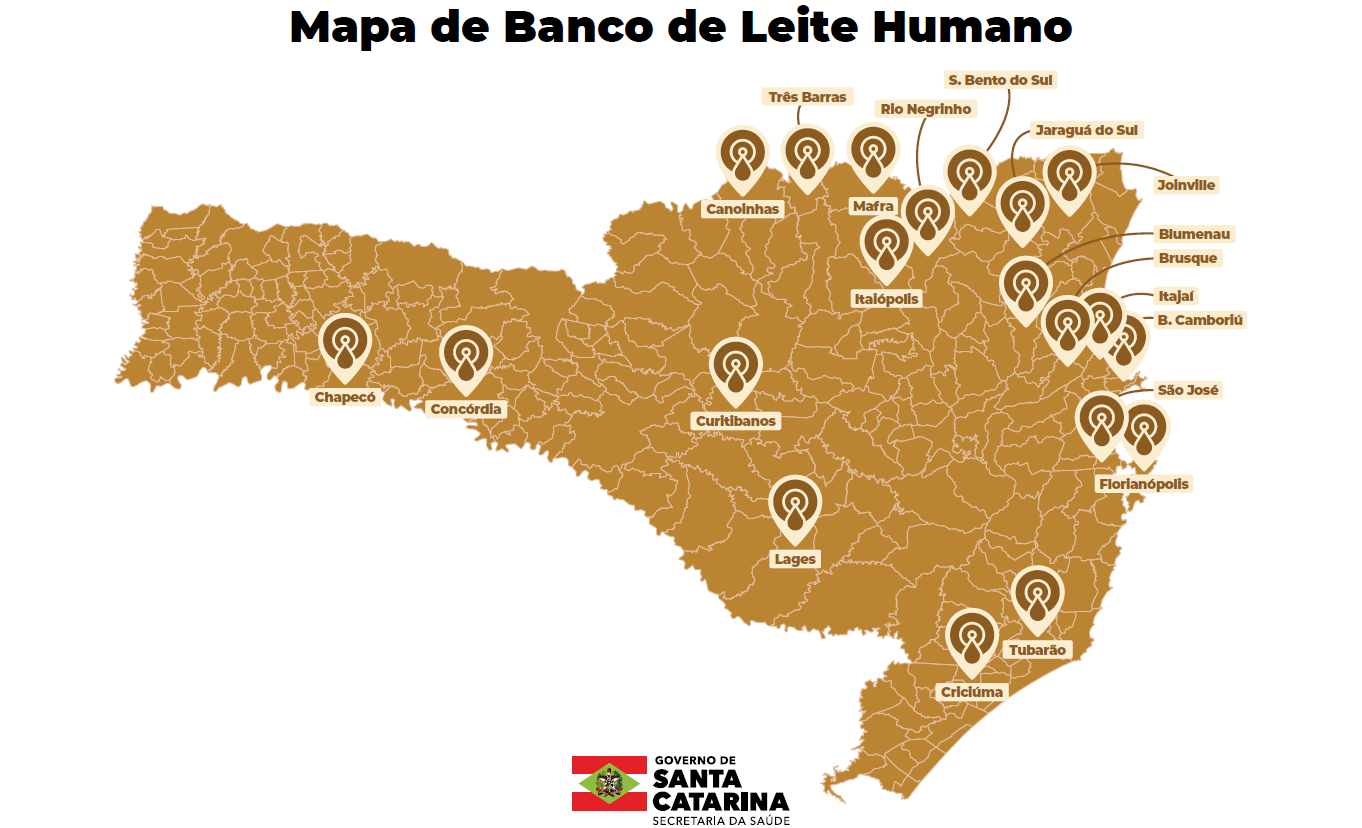Captura_de_tela_2025-08-29_123235.png