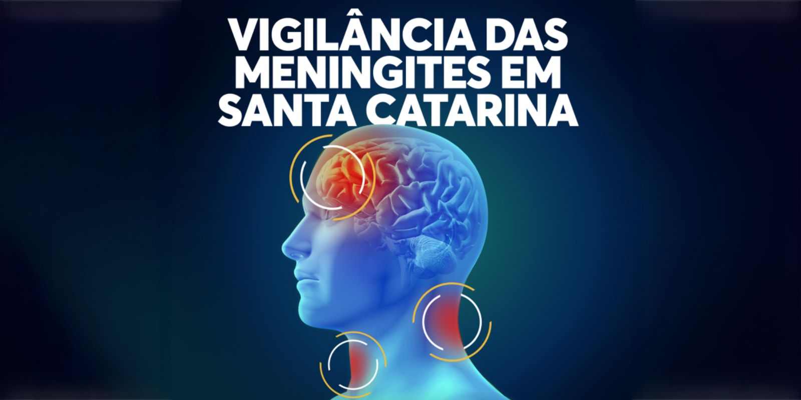 Sem-titulo-1.jpg