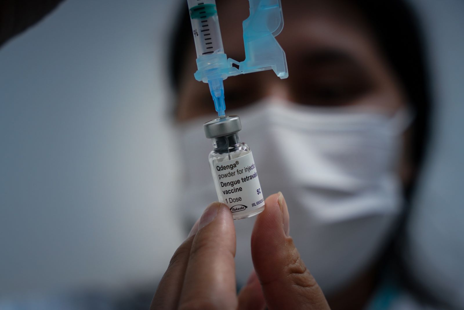 WLF05932-10_dengue.jpg