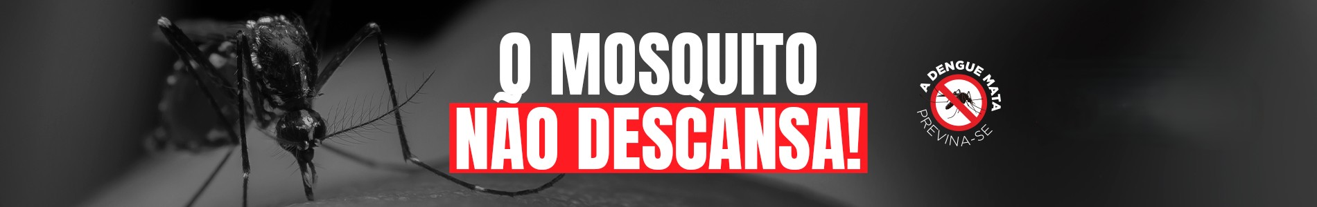 BANNER FULL - DENGUE - SERVIÇO