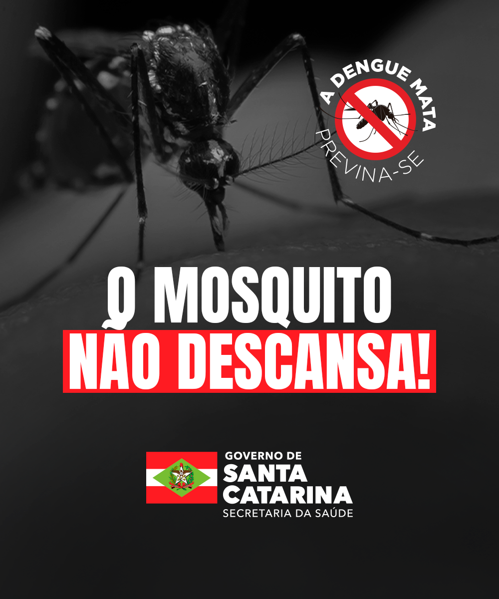 BANNER - HOME - DENGUE - MOBILE