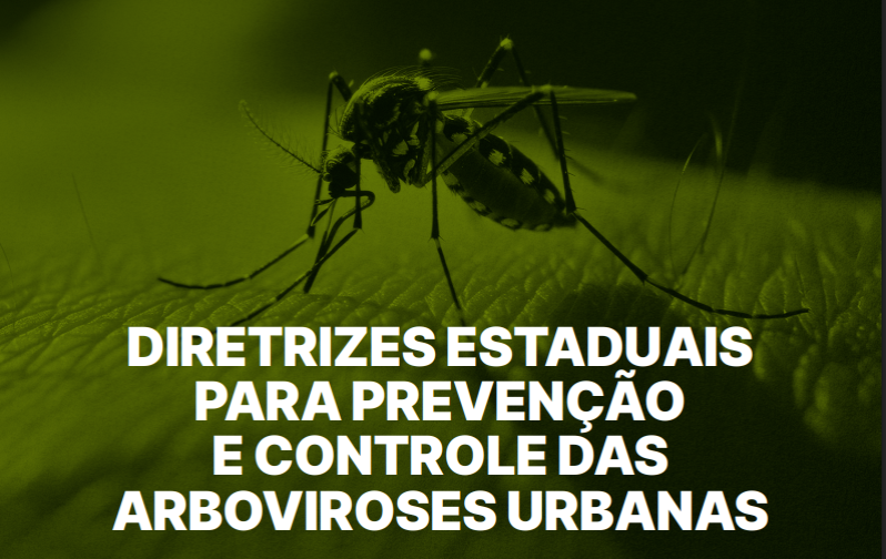 diretrizes_estaduais.png