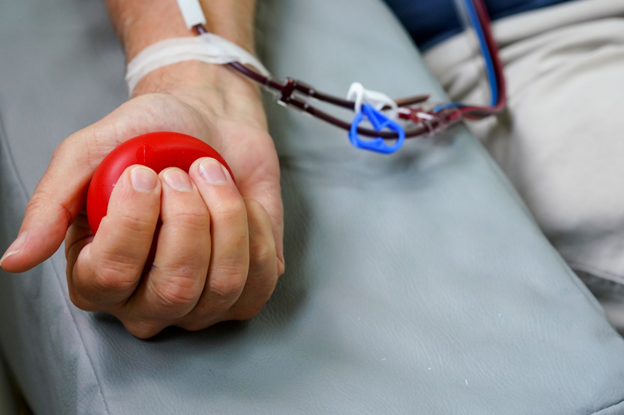 Close de uma mão segurando uma bolinha vermelha durante doação de sangue; braço com agulha conectada a tubo com sangue visível.