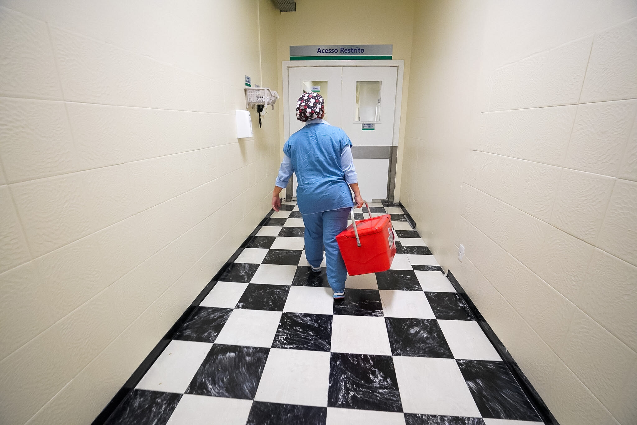 Profissional da saúde caminha por um corredor hospitalar com piso quadriculado em preto e branco, vestindo uniforme azul e touca cirúrgica estampada. A pessoa carrega uma caixa térmica vermelha de transporte de órgãos do SC Transplantes, seguindo em direção a uma porta com o aviso 'Acesso Restrito'. O ambiente é limpo, iluminado e remete a uma área interna de centro cirúrgico ou setor de transplantes.