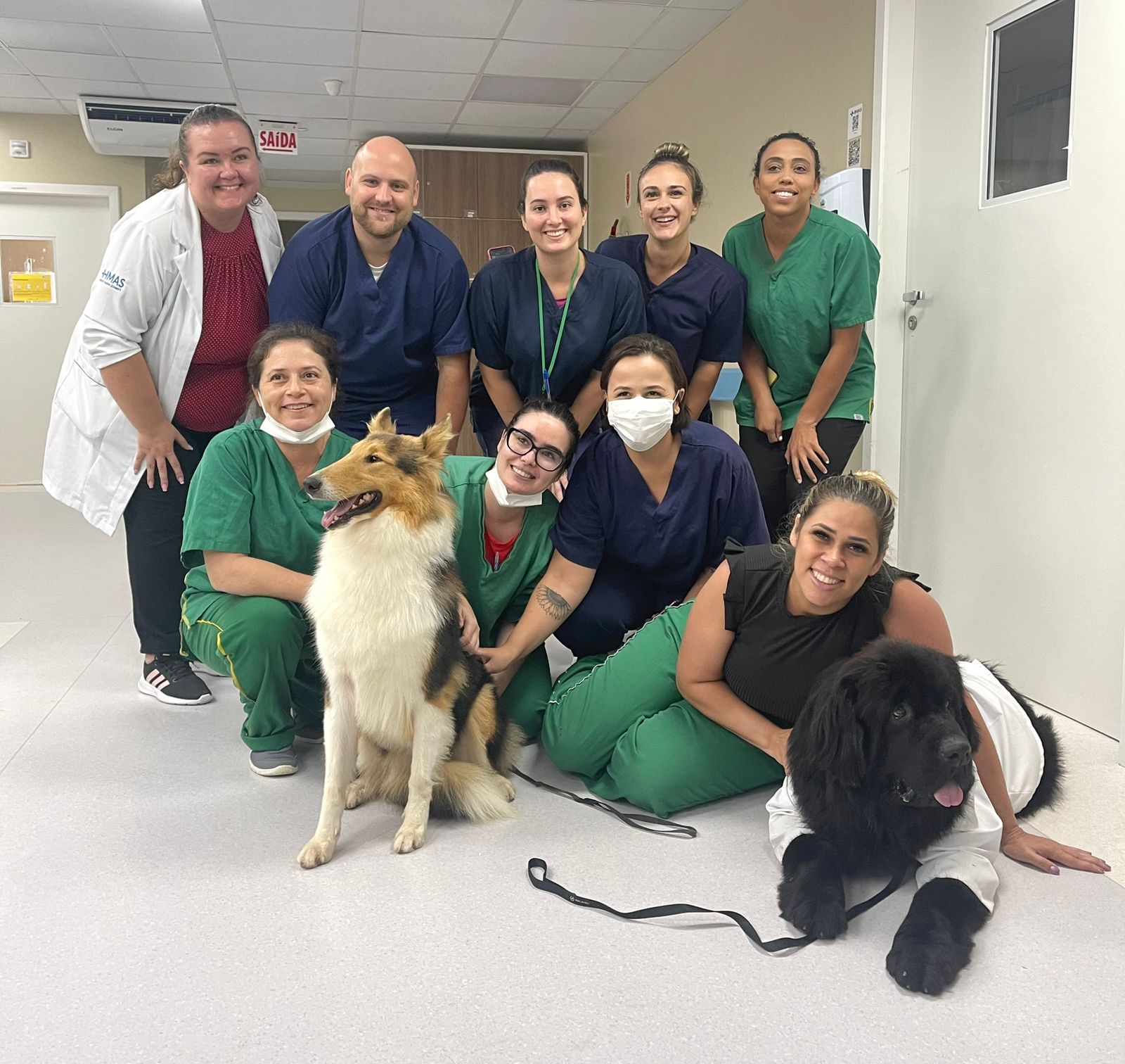 Equipe de profissionais da saúde posa sorridente para foto ao lado de dois cães terapeutas dentro de uma unidade hospitalar. Os cães, um da raça Collie e outro da raça Terra Nova, estão interagindo com a equipe, simbolizando uma ação de terapia assistida por animais.