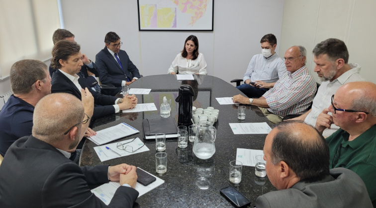 Reunião formal com aproximadamente 13 pessoas sentadas ao redor de uma mesa de reunião oval. A maioria dos participantes são homens de meia-idade ou mais velhos, alguns usando terno e outros com roupas sociais. Uma mulher, ao centro da imagem, parece conduzir a reunião. Sobre a mesa há copos de vidro, uma jarra de água, papéis, um dispensador de álcool em gel, xícaras de café e uma garrafa térmica. Ao fundo, há um mapa colorido fixado na parede. O ambiente é iluminado por luz natural e tem clima corporativo.
