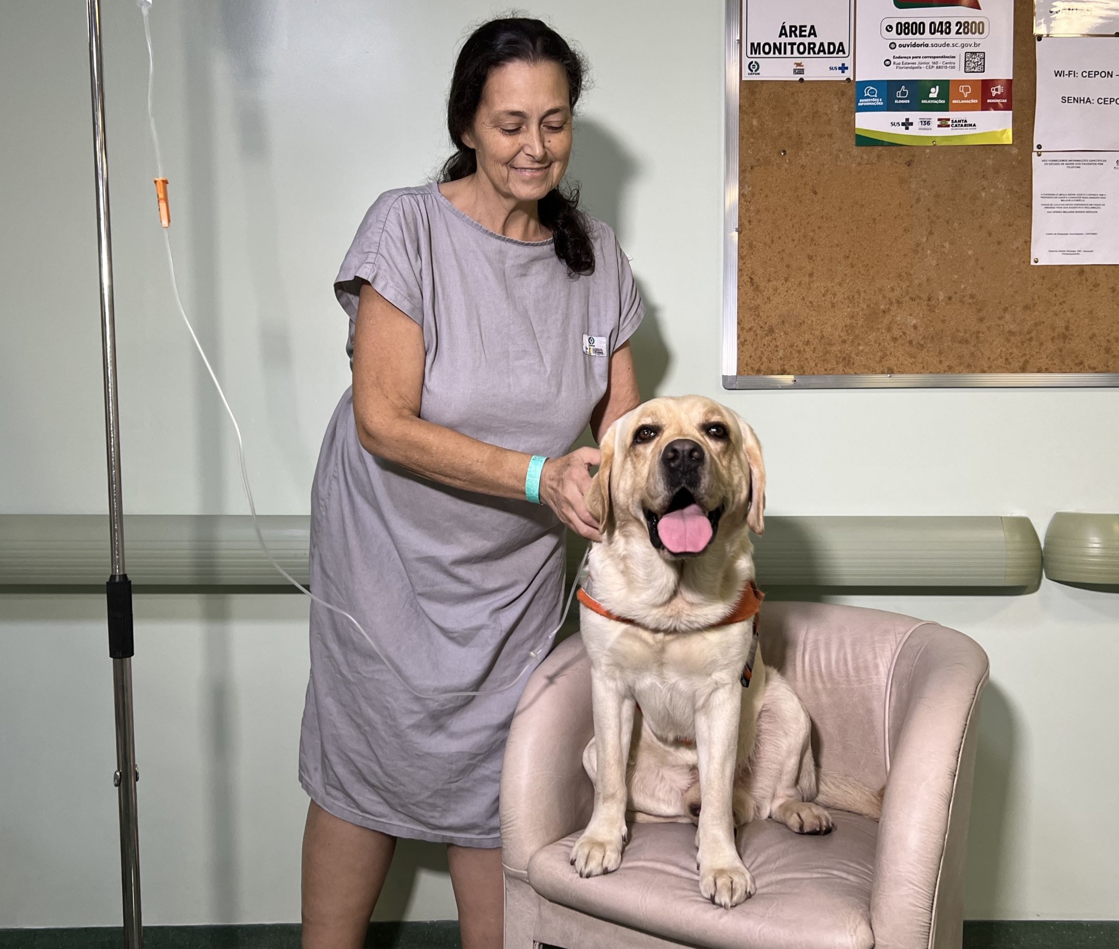 caes cbmsc anamelhado