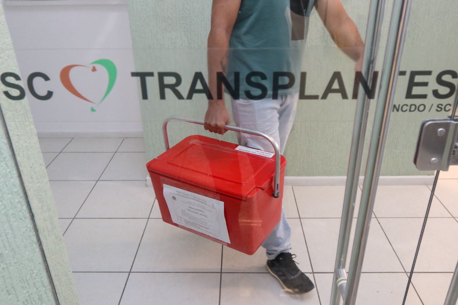 ricardotrida transplante