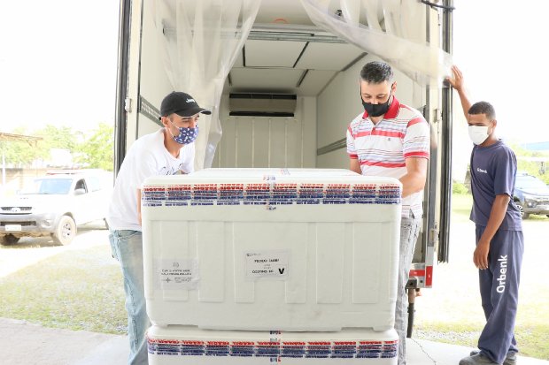 Equipe de três profissionais descarregando caixas térmicas com vacinas Coronavac de caminhão refrigerado, iniciando a distribuição estadual das doses recebidas em Santa Catarina.