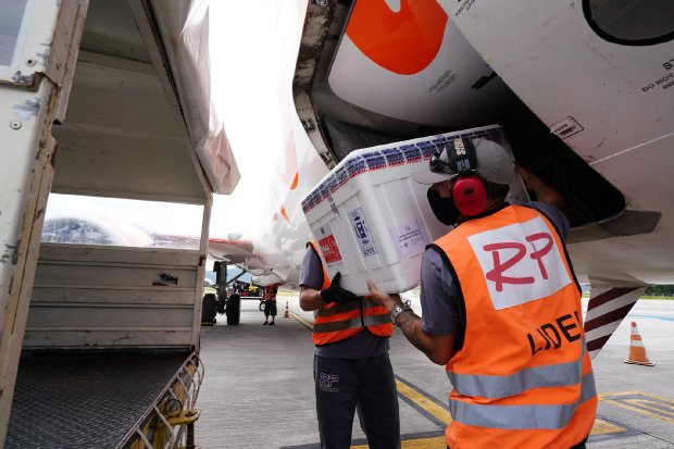 Dois homens vestindo jaquetas laranjas de segurança descarregam uma caixa térmica branca de um avião para a caçamba de um veículo.