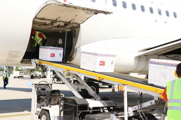 Aeronave sendo descarregada com caixas térmicas contendo novo lote de vacinas contra COVID-19 no aeroporto de Santa Catarina, iniciando processo de distribuição estadual.