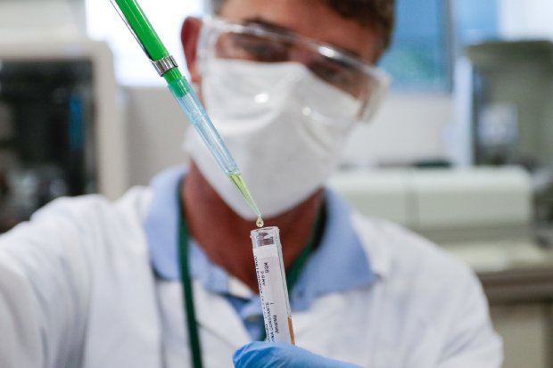 Cientista preenche tubo de ensaio de vidro com gotas de liquido verde usando um conta gotas.