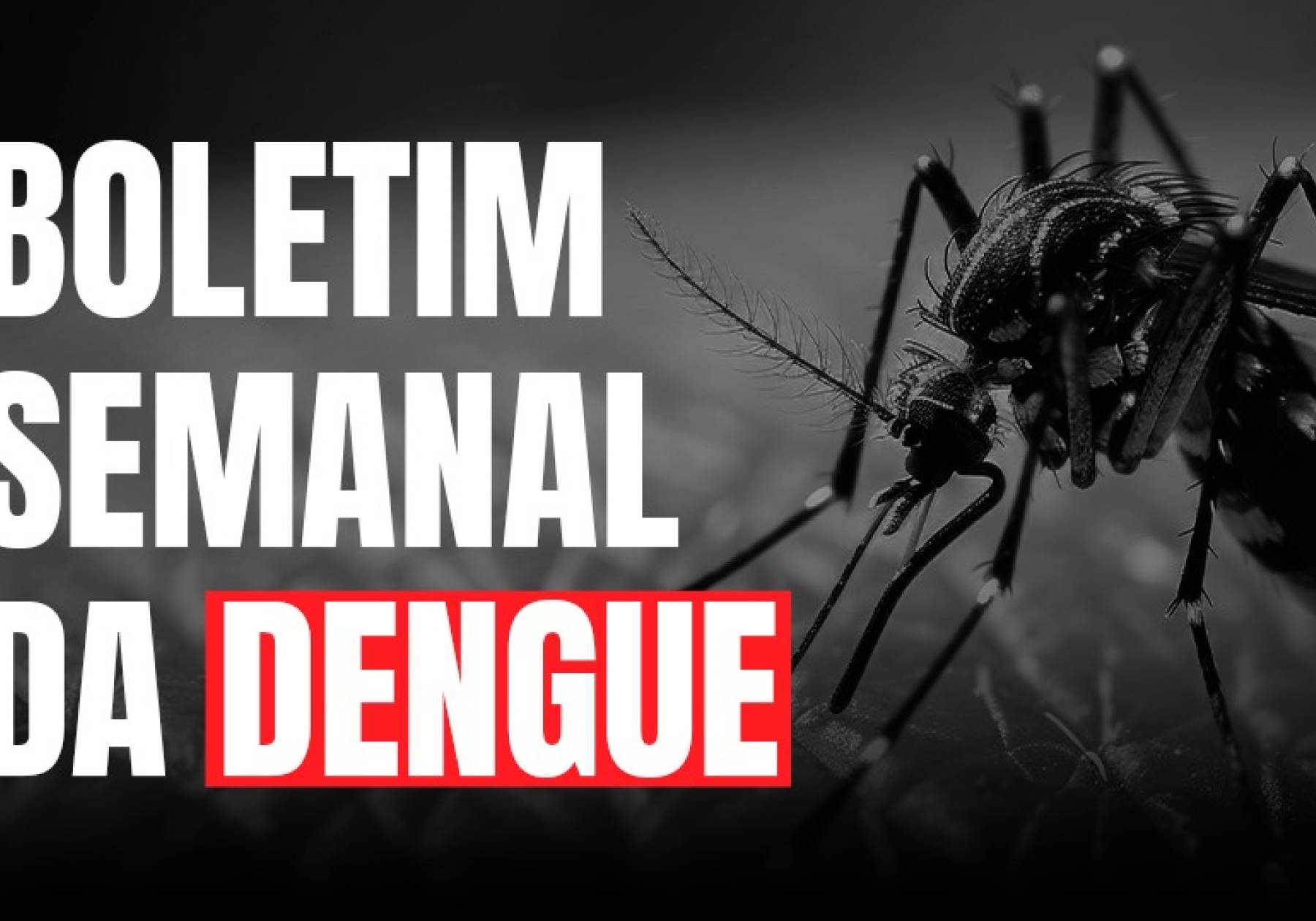 Dengue SC: Informe Epidemiológico apresenta número de casos prováveis de doença e situação segue em alerta