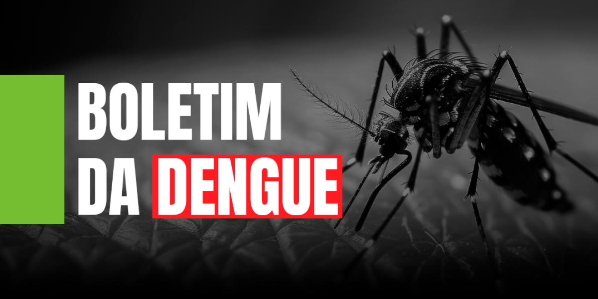 Dengue SC: Saúde confirma nove óbitos por dengue e quatro óbitos por chikungunya