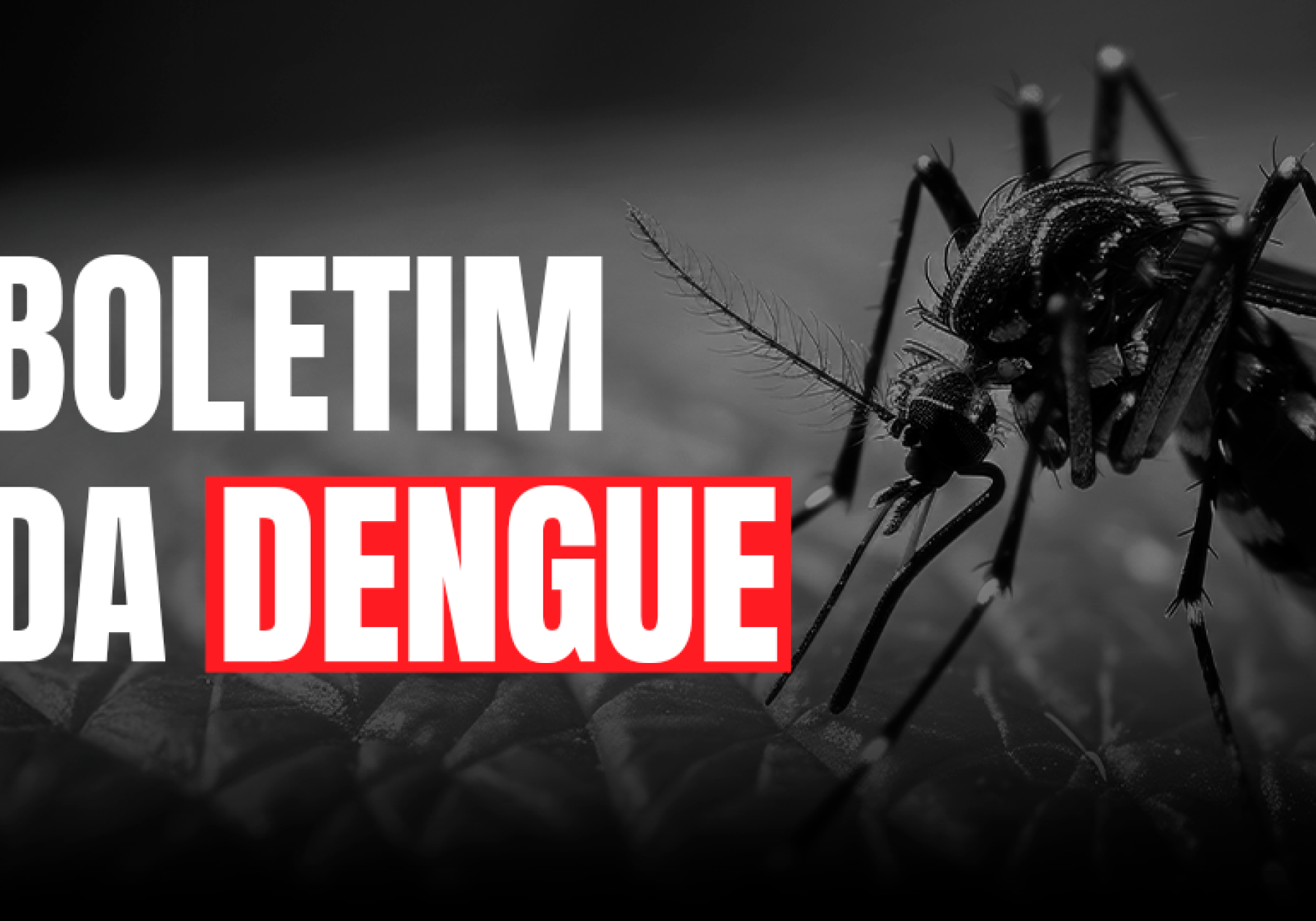 Dengue SC: Saúde registra mais de 45 mil focos do mosquito Aedes aegypti no estado