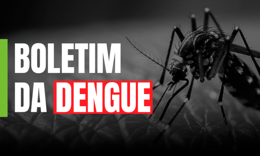 Dengue SC: Saúde registra mais de 62 mil focos do mosquito Aedes aegypti até início de dezembro