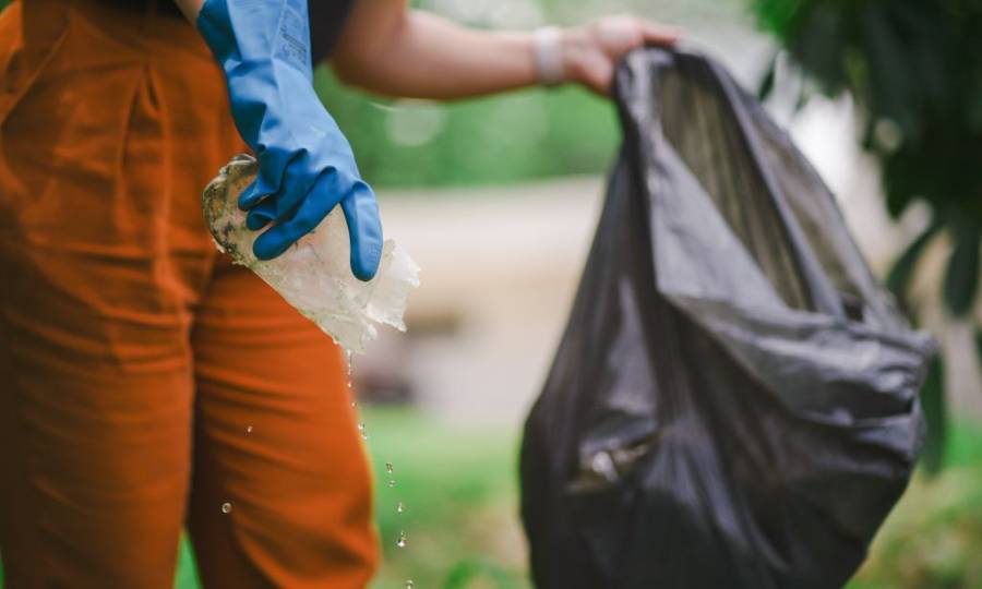 Dengue SC: Com a chegada do verão, Estado intensifica ações de prevenção contra o Aedes aegypti