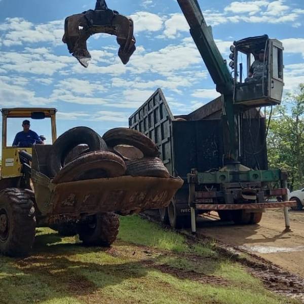 Dengue SC: Campanha de recolhimento de pneus fortalece combate ao Aedes aegypti no Estado