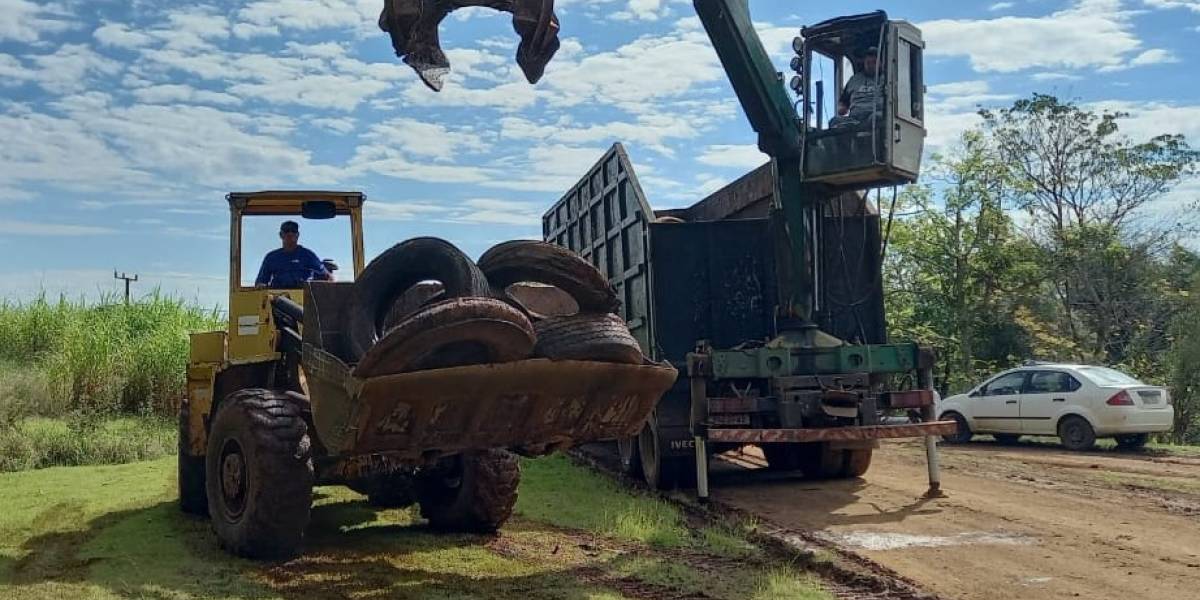 Dengue SC: Campanha de recolhimento de pneus fortalece combate ao Aedes aegypti no Estado