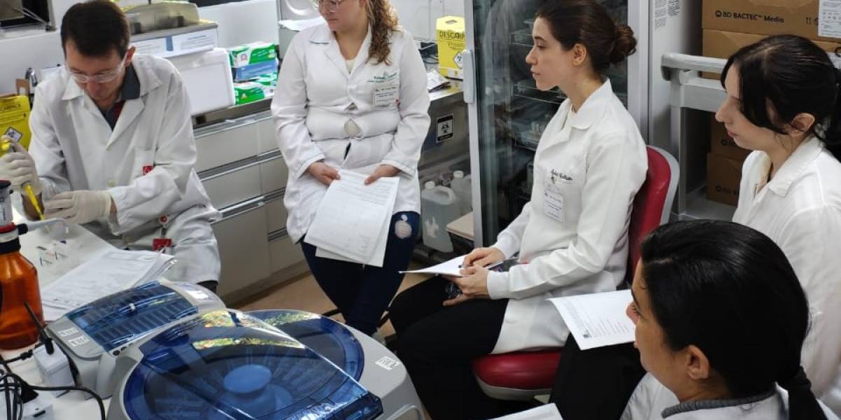 HEMOSC fortalece a qualificação em hemoterapia oferecendo cursos para profissionais e estudantes