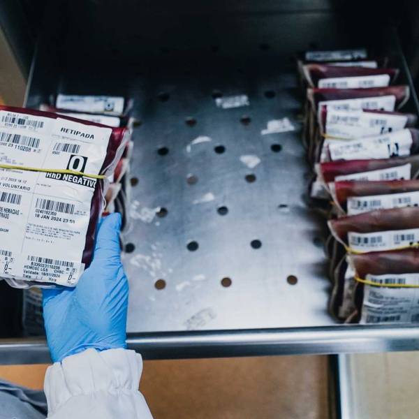 Hemosc destaca necessidade dos sangues A e O após queda nas doações