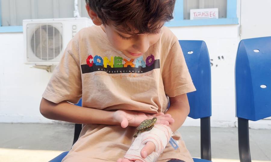 Hospital Regional Ruth Cardoso promove reencontro entre paciente e animal de estimação em Balneário Camboriú