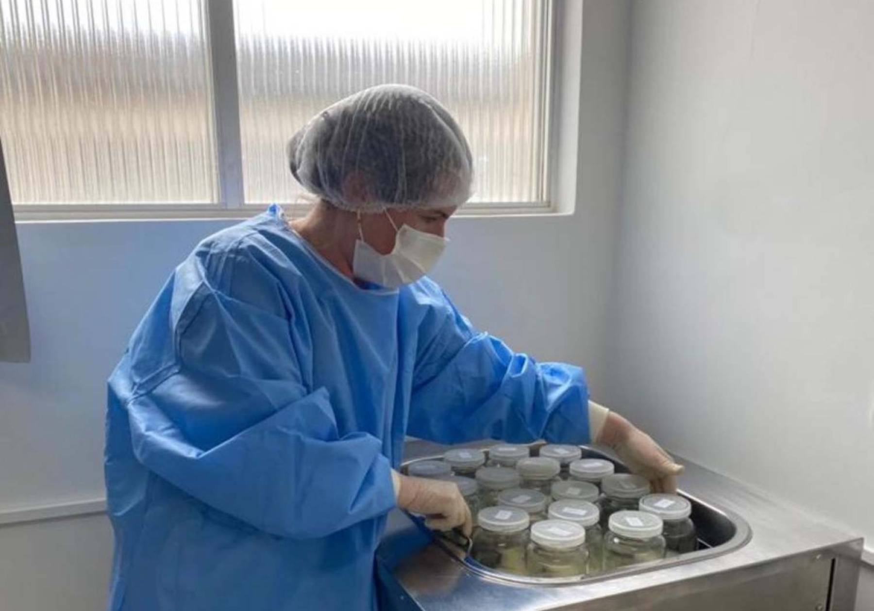 Hospital Tereza Ramos celebra Dia Nacional da Doação de Leite Humano com mais de 1,2 mil litros coletados em 2026