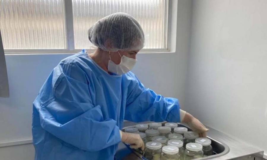 Hospital Tereza Ramos celebra Dia Nacional da Doação de Leite Humano com mais de 1,2 mil litros coletados em 2026