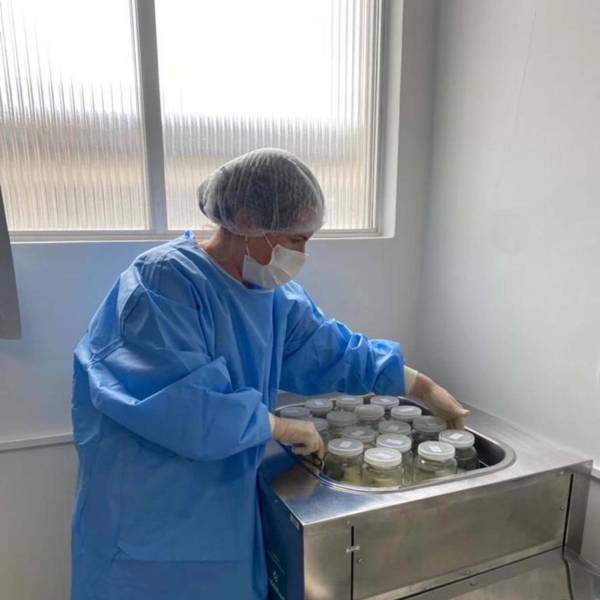 Hospital Tereza Ramos celebra Dia Nacional da Doação de Leite Humano com mais de 1,2 mil litros coletados em 2026