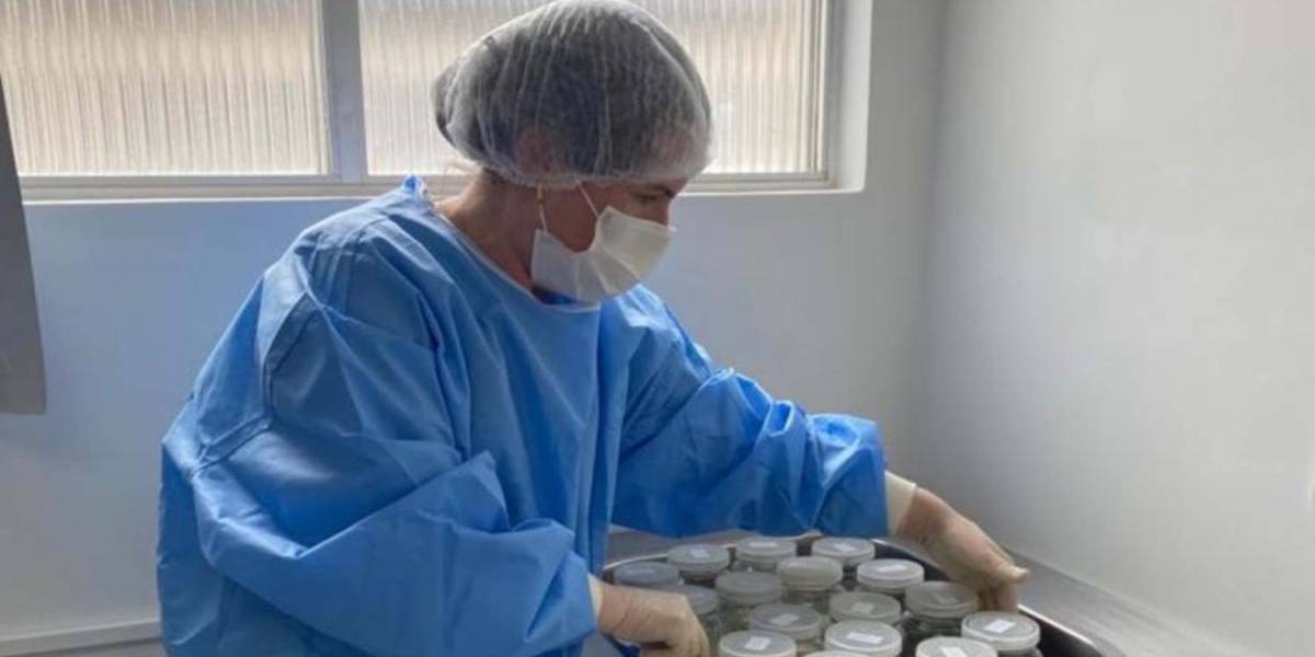 Hospital Tereza Ramos celebra Dia Nacional da Doação de Leite Humano com mais de 1,2 mil litros coletados em 2026