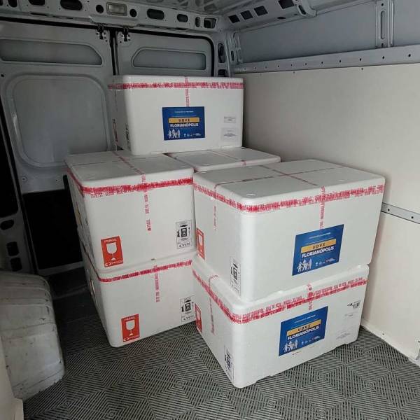 Com mais de 2 milhões de doses, Santa Catarina inicia nova distribuição da vacina contra a influenza