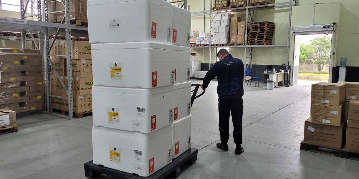 Santa Catarina inicia distribuição de mais 300 mil de doses e reforça pedido de vacinação contra a gripe 