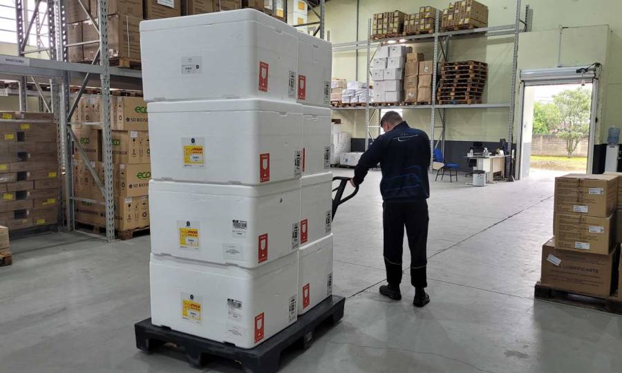 Santa Catarina inicia distribuição de mais 300 mil de doses e reforça pedido de vacinação contra a gripe 