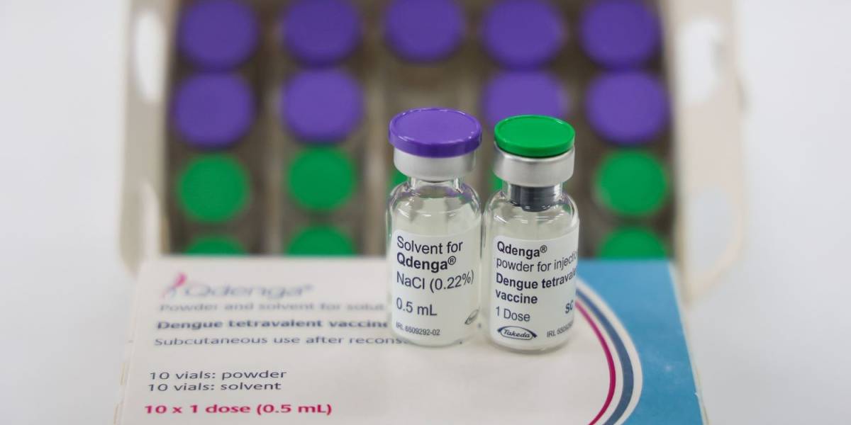 Vacinação contra a dengue para adolescentes segue disponível em Santa Catarina