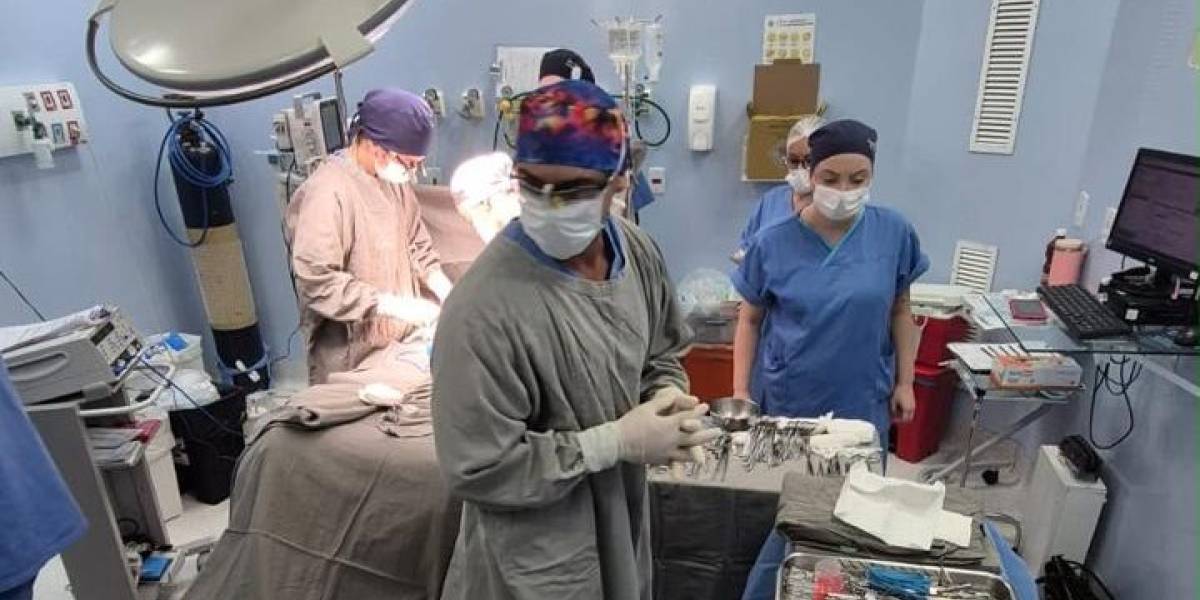 Hospital Materno-Infantil Santa Catarina retoma doação de órgãos após 8 anos