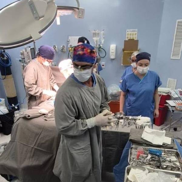 Hospital Materno-Infantil Santa Catarina retoma doação de órgãos após 8 anos