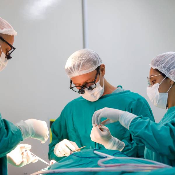 De forma pioneira, Santa Catarina cria habilitação estadual e amplia acesso a serviços de alta complexidade  