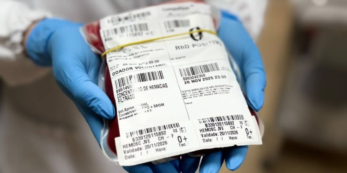 Santa Catarina realiza pela primeira vez o transporte de bolsa de sangue raro em cabine de avião comercial