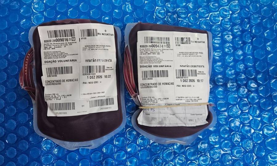 Bolsas de sangue raro chegam a Santa Catarina para atender paciente com anemia falciforme